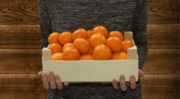 Ventajas del tablero contrachapado en la fabricación de envases de madera