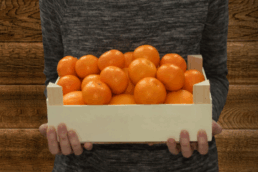 Ventajas del tablero contrachapado en la fabricación de envases de madera