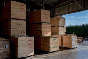 CATENVA: your trusted plywood supplier in Spain