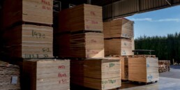 CATENVA: your trusted plywood supplier in Spain