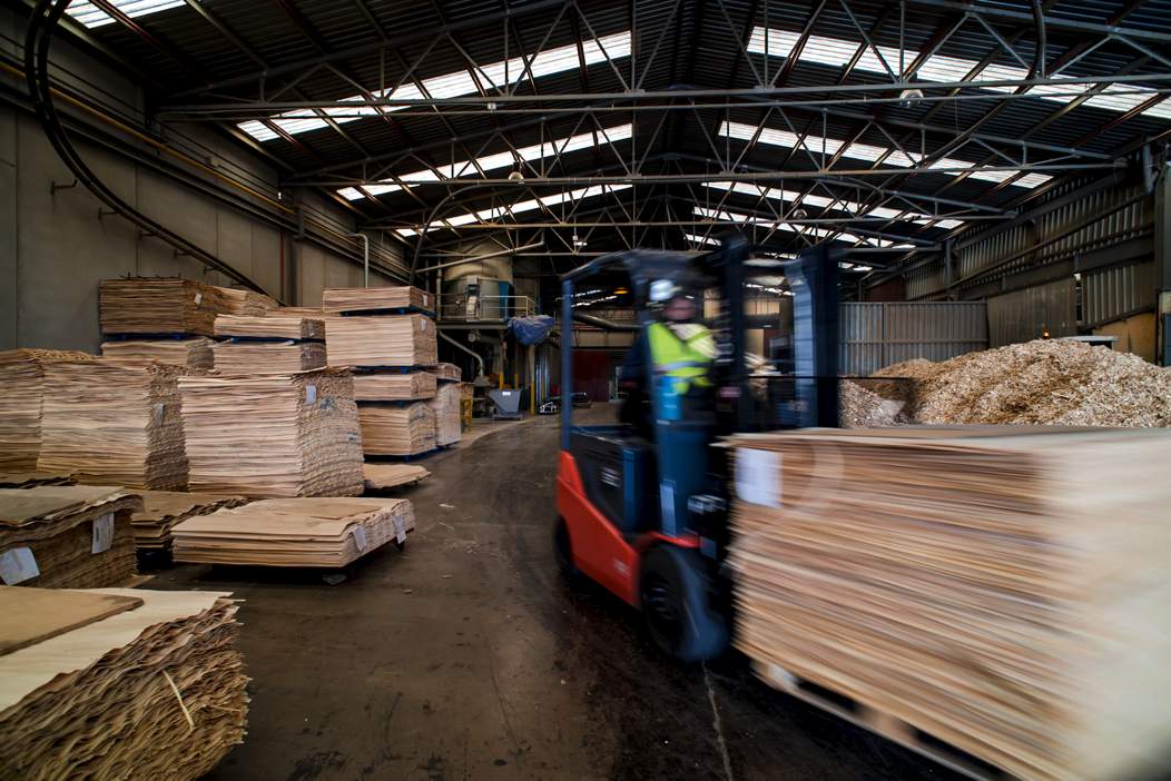 CATENVA: your trusted plywood supplier in Spain