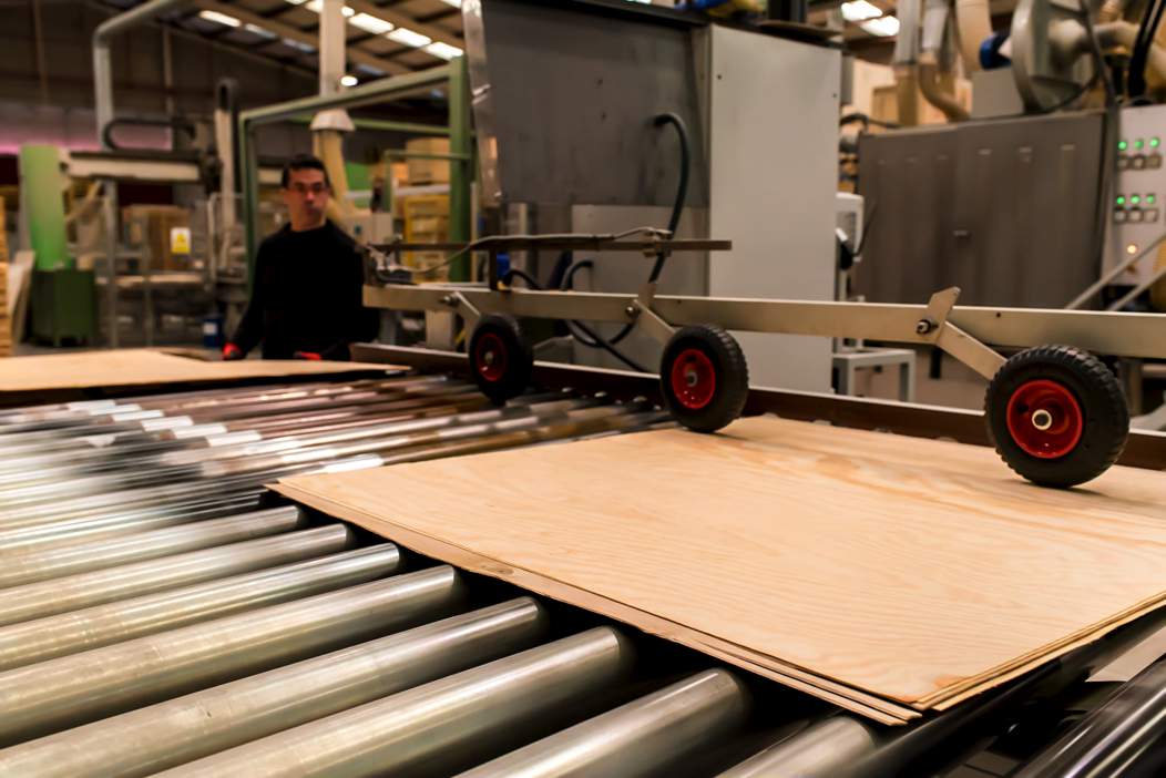 Tailored Solutions for Various Sectors