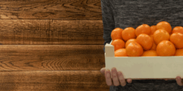 Food-Safe Plywood Boards Suitable for International Packaging