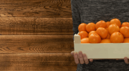 Food-Safe Plywood Boards Suitable for International Packaging