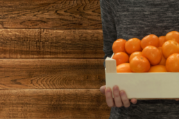 Food-Safe Plywood Boards Suitable for International Packaging