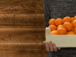 Food-Safe Plywood Boards Suitable for International Packaging