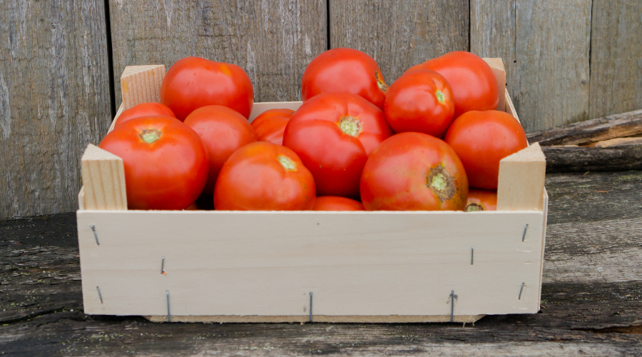 Normativa europea aplicable al contrachapado Normativa europea aplicable al contrachapado