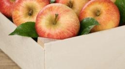 Tableros de contrachapado certificados para contacto alimentario