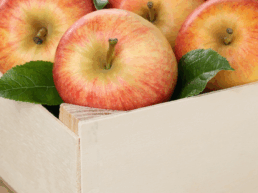 Tableros de contrachapado certificados para contacto alimentario