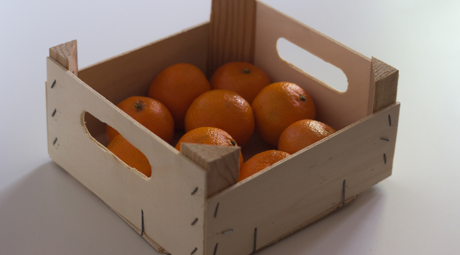 Applications of certified poplar plywood in agro-industrial logistics