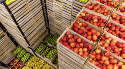 Food safety in logistics