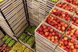 Food safety in logistics