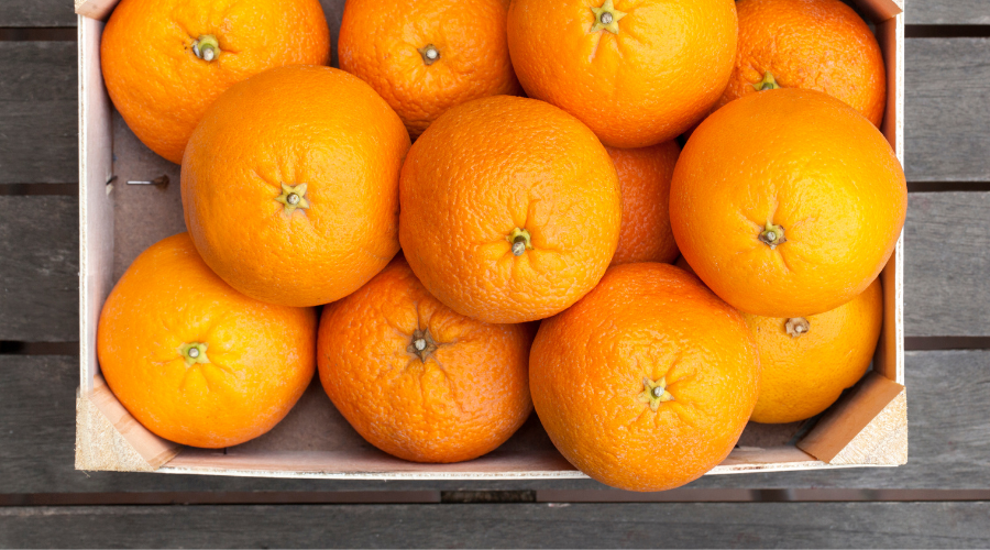 Why poplar plywood is a suitable solution for the agro-industry