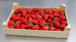 Custom manufacturing and certifications